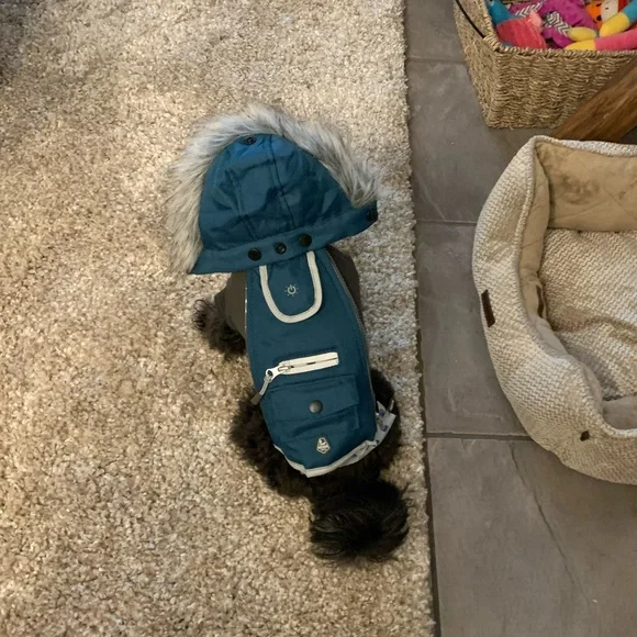 Doggy jacket - Picture 2 of 2
